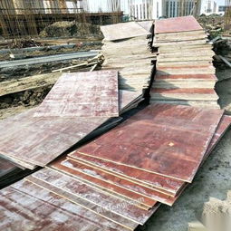 浙江廢木頭供求信息 回收、供應(yīng)與圖片展示