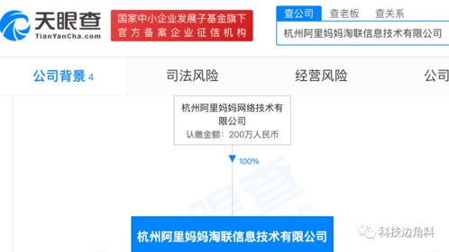 阿里媽媽布局新領(lǐng)域，成立杭州淘聯(lián)信息公司聚焦信息技術(shù)咨詢
